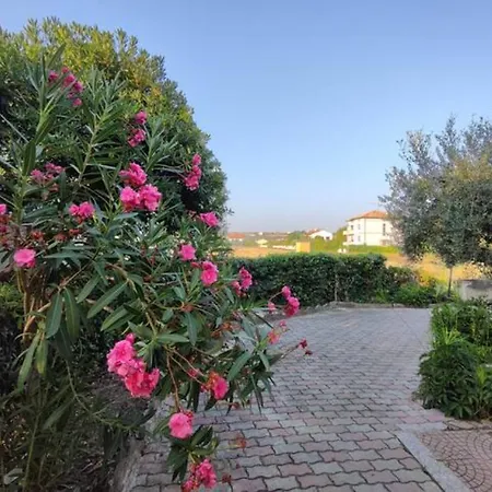 Cote Adriatique Apartment Marotta