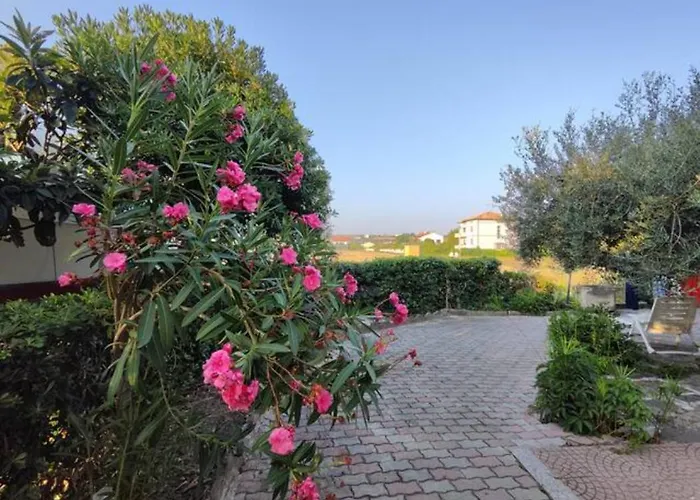 Cote Adriatique Appartamento Marotta